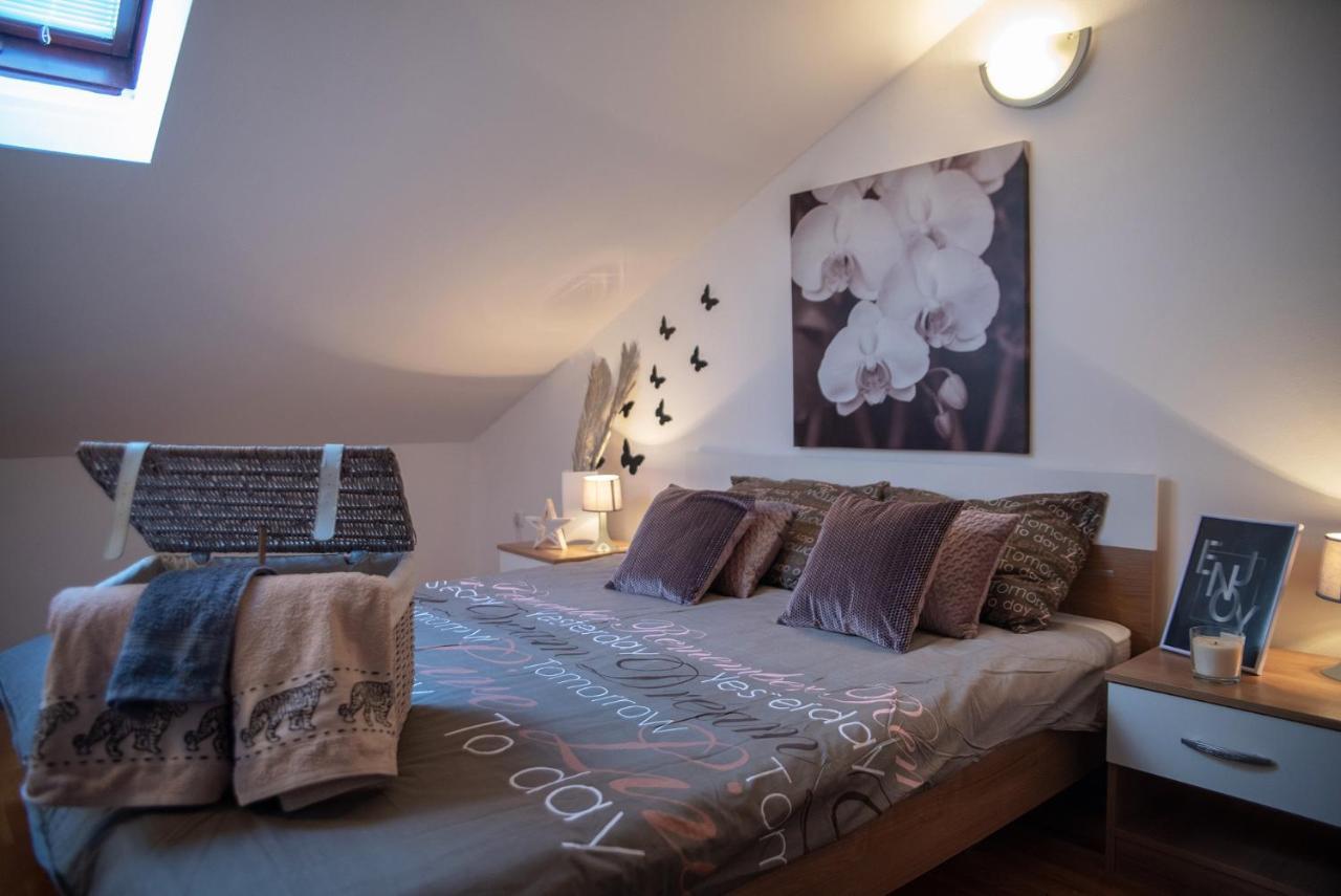 Apartma Large Specious *